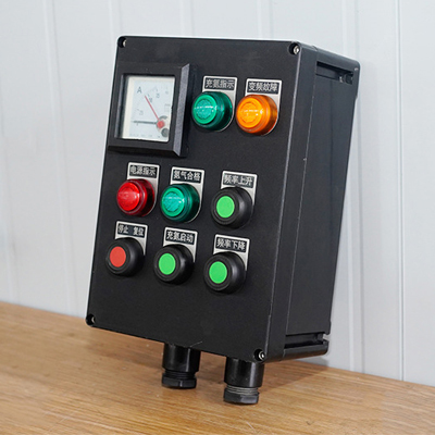 BXK8080防腐防爆控制箱操作柱（IIB、e、IIC）